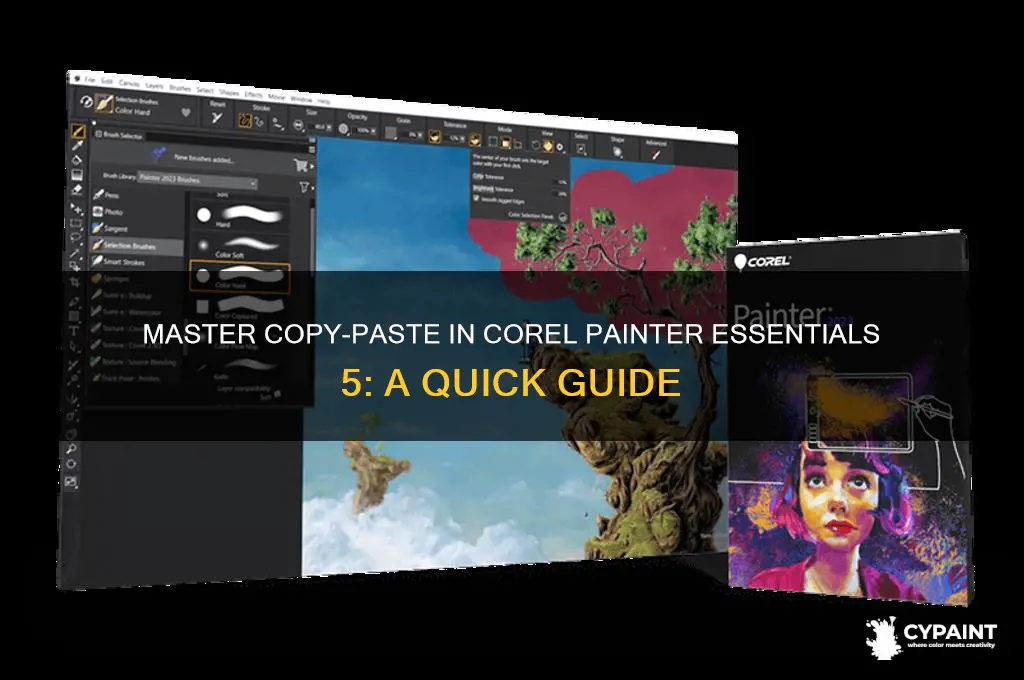 how to copy and past in corel painter essentials 5