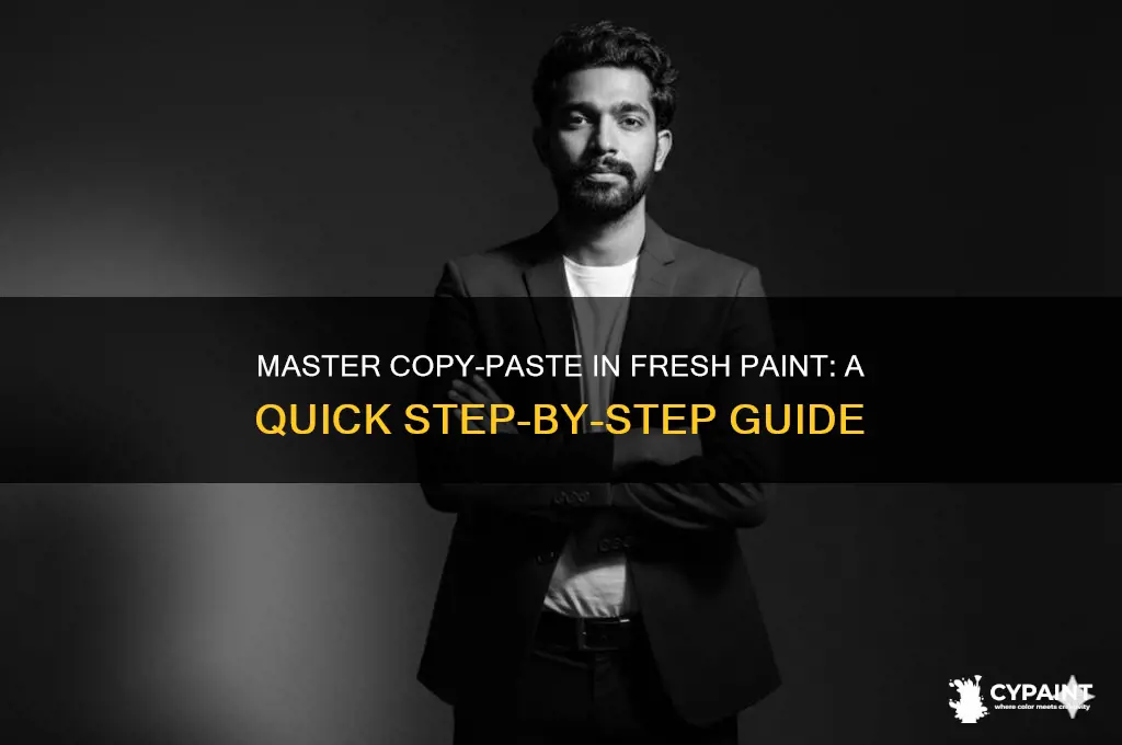 how to copy and past into fresh paint