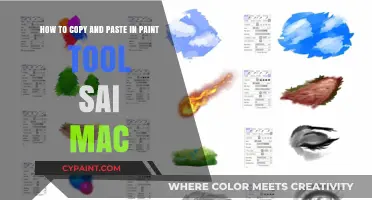 Master Copy-Paste in Paint Tool SAI on Mac: Quick Guide