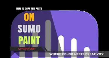 Master Copy-Paste Techniques in Sumo Paint: A Step-by-Step Guide