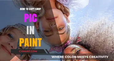 Master Cropping and Copying Images in Paint: A Step-by-Step Guide