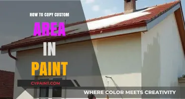 Mastering Paint: Copying Custom Areas with Precision and Ease