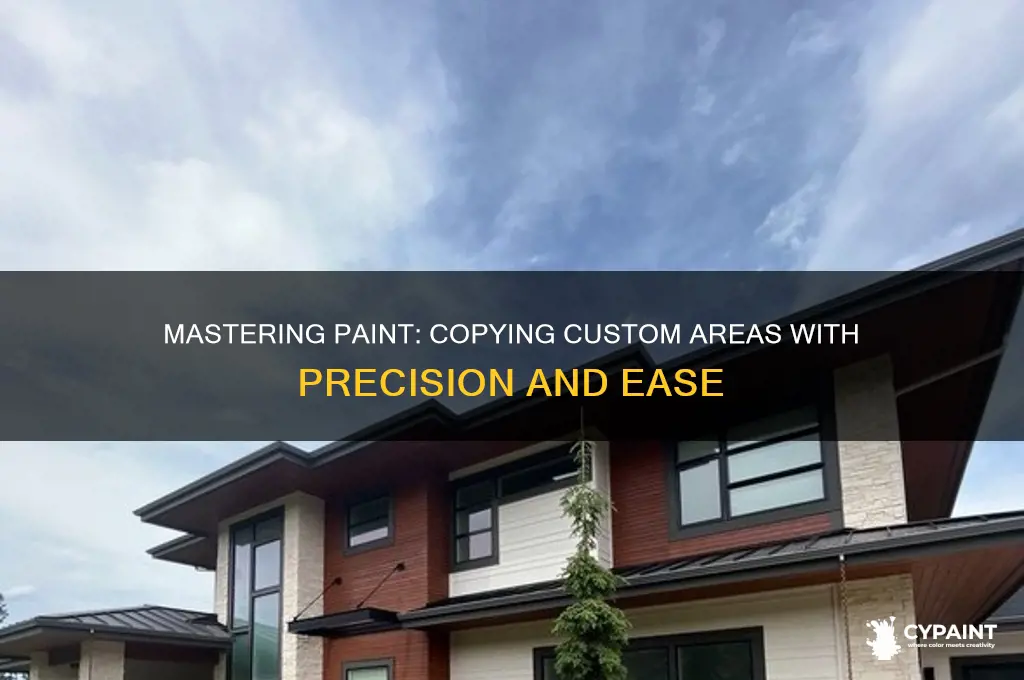 how to copy custom area in paint