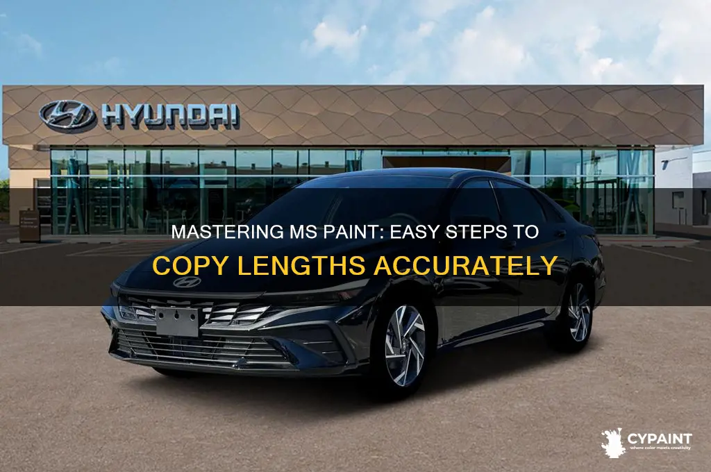 how to copy lengths in ms paint