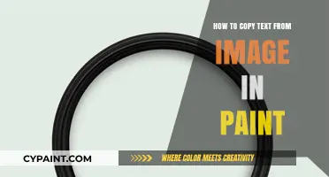 Extracting Text from Images: A Simple Guide Using Paint Tool