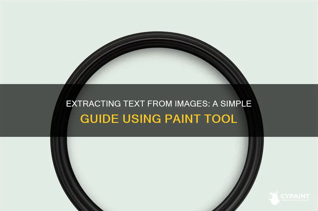 how to copy text from image in paint