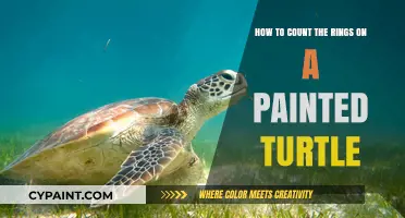 Understanding a Painted Turtle's Age: Counting the Rings