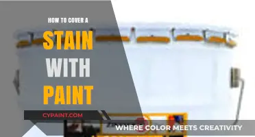 Paint Over Stains: Easy Tips to Conceal Imperfections Like a Pro
