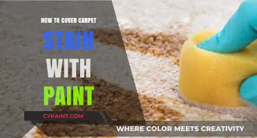 Creative Carpet Stain Solutions: Painting Over Imperfections Like a Pro