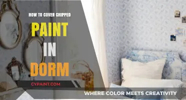 Quick Fixes for Chipped Paint in Your Dorm Room