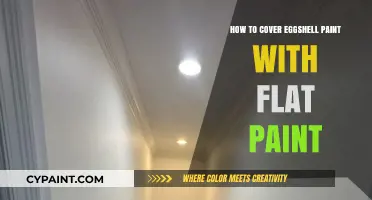 Transforming Eggshell to Flat: A Step-by-Step Painting Guide
