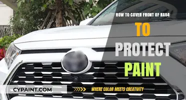 Protect Your Rav4's Paint: Cover the Front End