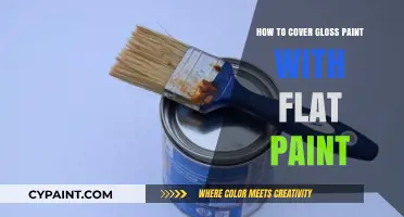 Transform Gloss to Flat: A Step-by-Step Painting Guide