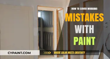 Fixing Mudding Flaws: Paint Techniques to Conceal Wall Imperfections