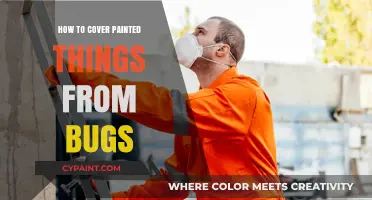 Protecting Painted Surfaces: Effective Tips to Keep Bugs at Bay