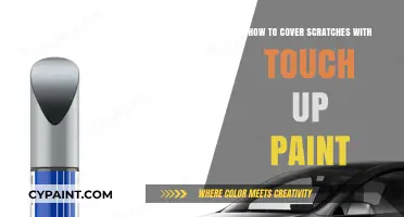 Easy Scratch Repair: Covering Scratches with Touch-Up Paint
