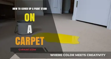 Quick Fixes: Concealing Paint Stains on Your Carpet Like a Pro