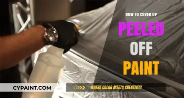 Quick Fixes for Peeled Paint: Easy Cover-Up Techniques