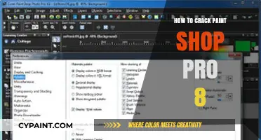 Mastering Paint Shop Pro 8: Tips and Tricks to Unlock Its Full Potential