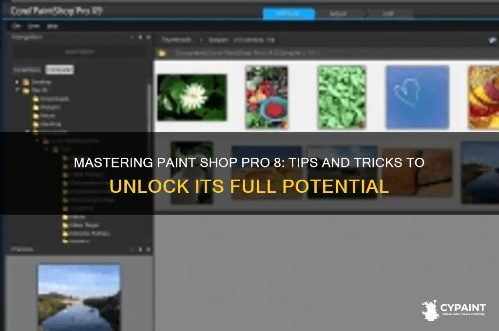 how to crack paint shop pro 8