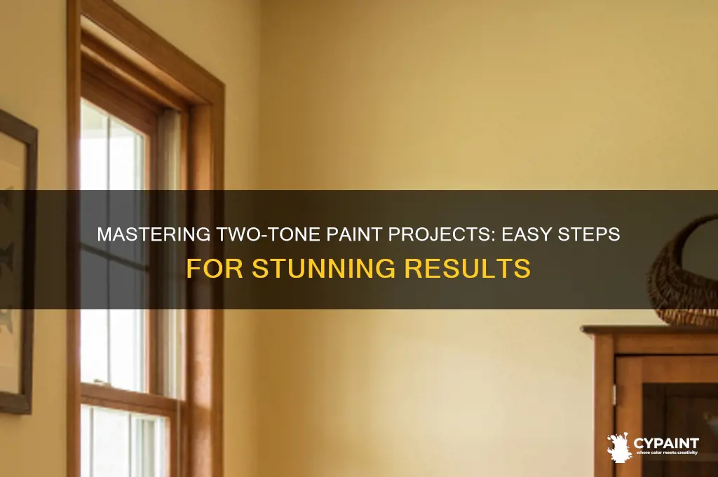 how to create 2 tone paint project