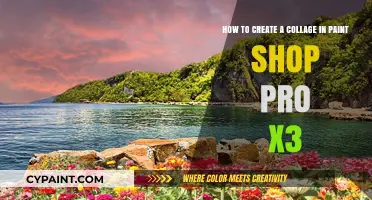 Master Collage Creation in PaintShop Pro X3: Step-by-Step Guide