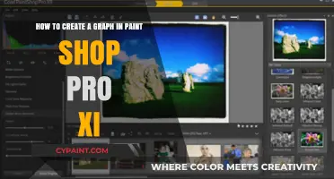 Mastering Graph Creation in Paint Shop Pro XI: A Step-by-Step Guide