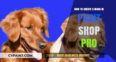 Creating Masks in Paint Shop Pro: A Beginner's Guide