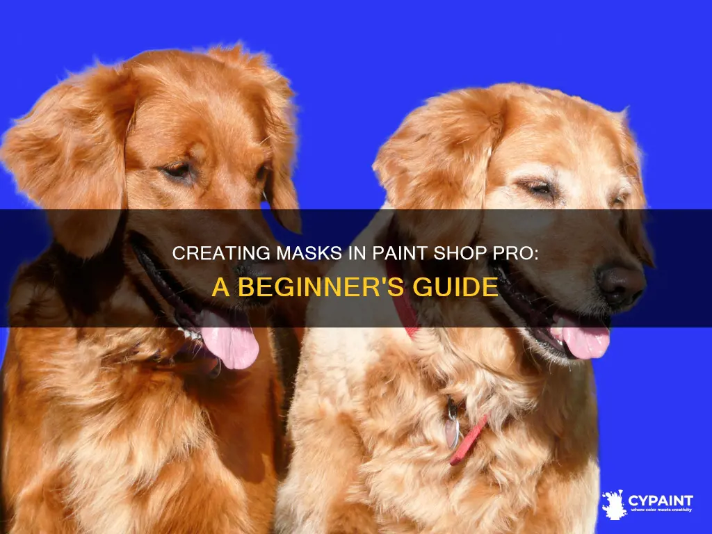 how to create a mask in paint shop pro