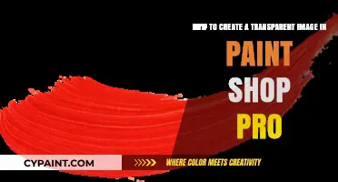 Mastering Transparency: Create Clear Images in Paint Shop Pro Easily