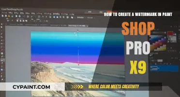 Master Watermarking: Create Custom Watermarks in PaintShop Pro X9
