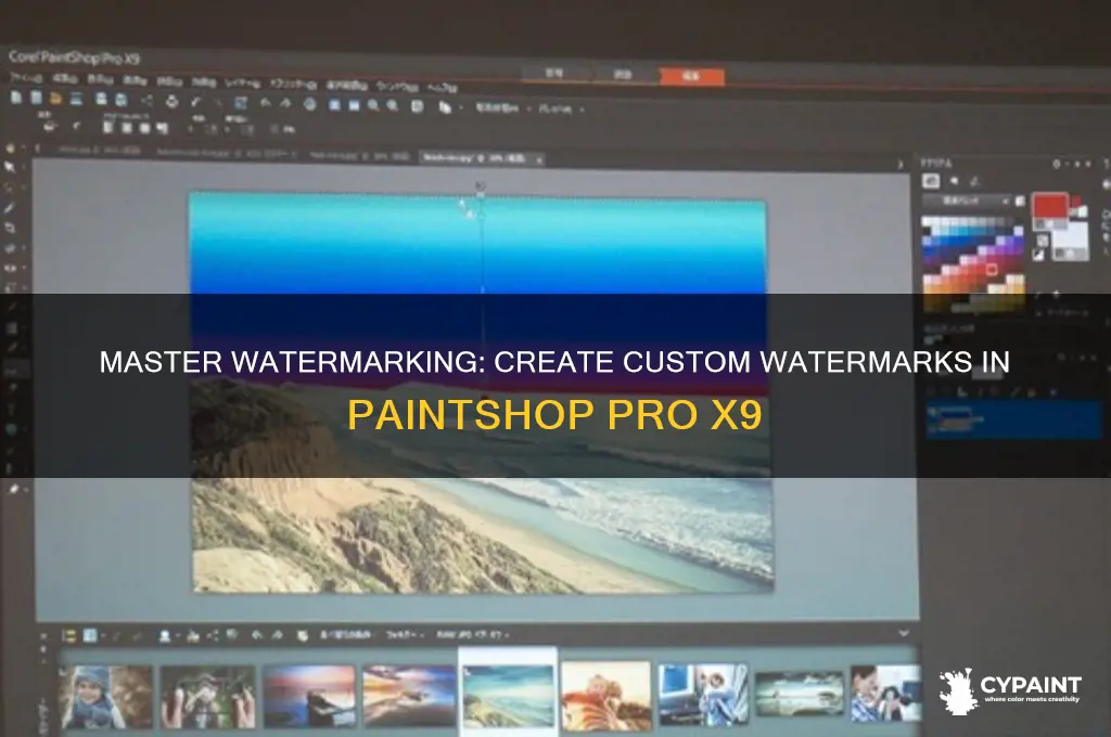 how to create a watermark in paint shop pro x9