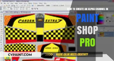 Mastering Alpha Channels in PaintShop Pro: A Step-by-Step Guide