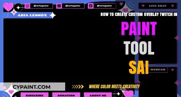 Designing Custom Twitch Overlays Using Paint Tool SAI: A Step-by-Step Guide