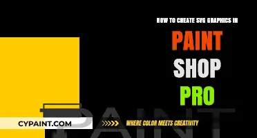 Creating SVG Graphics: Paint Shop Pro Guide