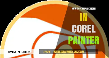 Master Circle Cropping in Corel Painter: A Step-by-Step Guide