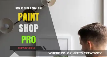 Cropping Circles in Paint Shop Pro: A Step-by-Step Guide