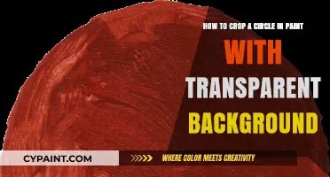 Crop Circle in Paint: Transparent Background Tutorial for Beginners