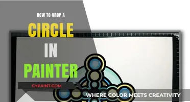 Mastering Circle Cropping in Painter: A Step-by-Step Guide