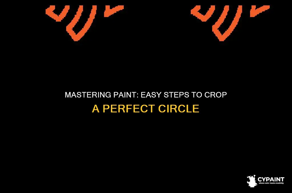 how to crop a cricle in paint