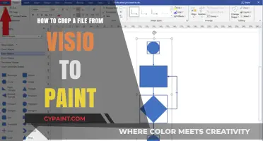 Cropping Visio Diagrams: A Simple Paint Guide