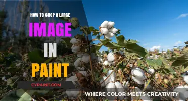 Cropping Large Images in Paint: A Simple Step-by-Step Guide