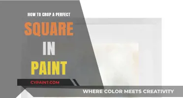 Mastering Square Crops: A Simple Guide Using Paint Tool