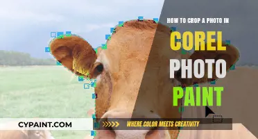 Cropping Photos Like a Pro in Corel Photo-Paint