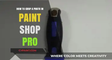 Cropping Photos Like a Pro with Paint Shop Pro