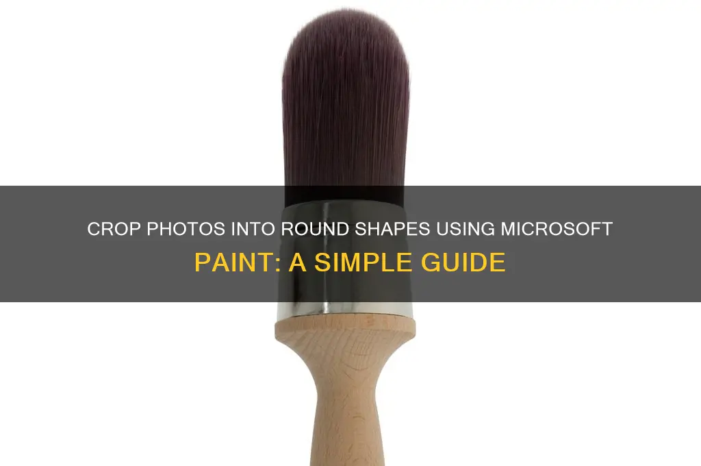 how to crop a photo in round shape in paint
