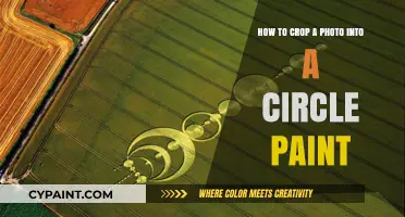 Cropping Photos into Circles with Paint: A Step-by-Step Guide
