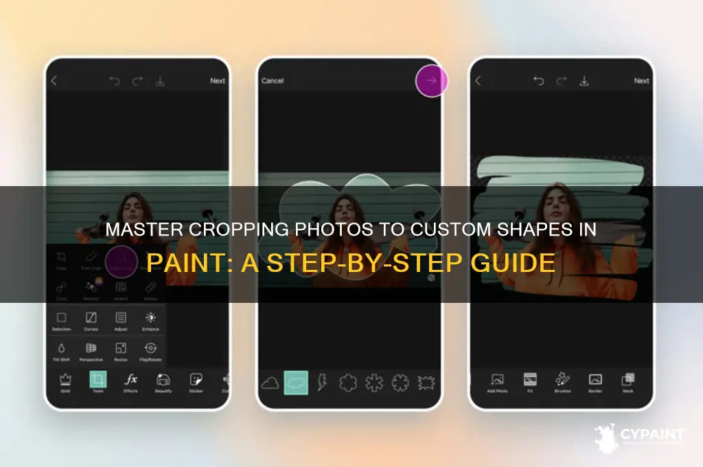how to crop a photo to a specific shape paint