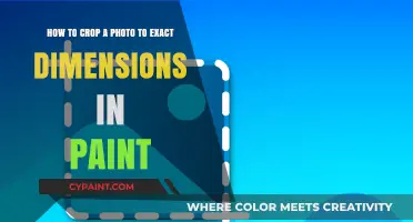 Crop Photos Precisely: Exact Dimensions in Paint Made Easy