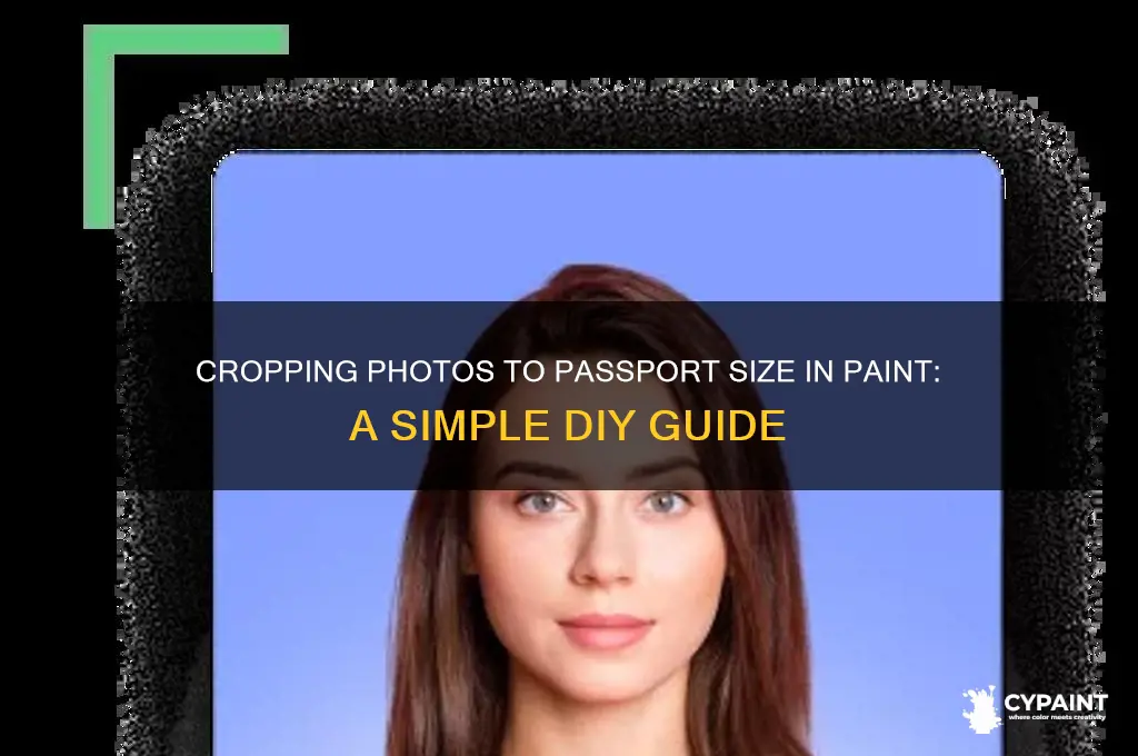 how to crop a photo to passport size in paint